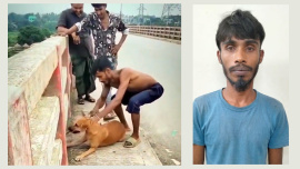 নরসিংদীতে কুকুরের গলায় ইট বেঁধে নদীতে ফেলা যুবক আটক