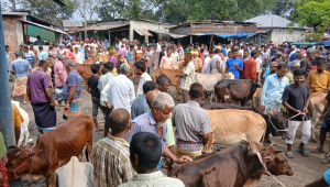 Eid