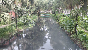ছবি: স্টার।