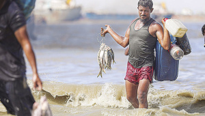 ছবি: স্টার।