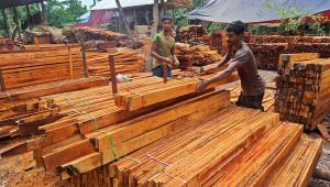 nesarabaad_sawmill_16sep25.jpg