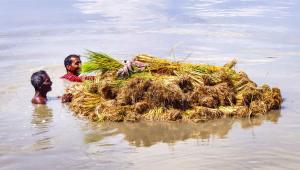 khulna_rani_salute_rice_26sep25.jpg