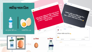 egg-01-01.jpg