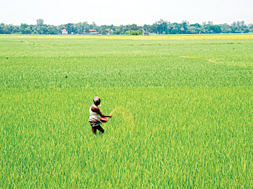 ছবি: স্টার।