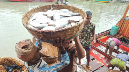 ইলিশ বরিশাল ১