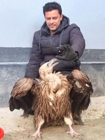 pabna-vulture-2.jpg