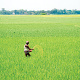 ছবি: স্টার।